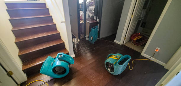 Best Basement water damage restoration  in Goldens Bridge, NY