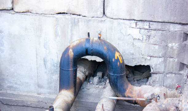 Best Professional water damage repair  in Goldens Bridge, NY