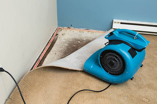 Best Residential water damage restoration  in Goldens Bridge, NY
